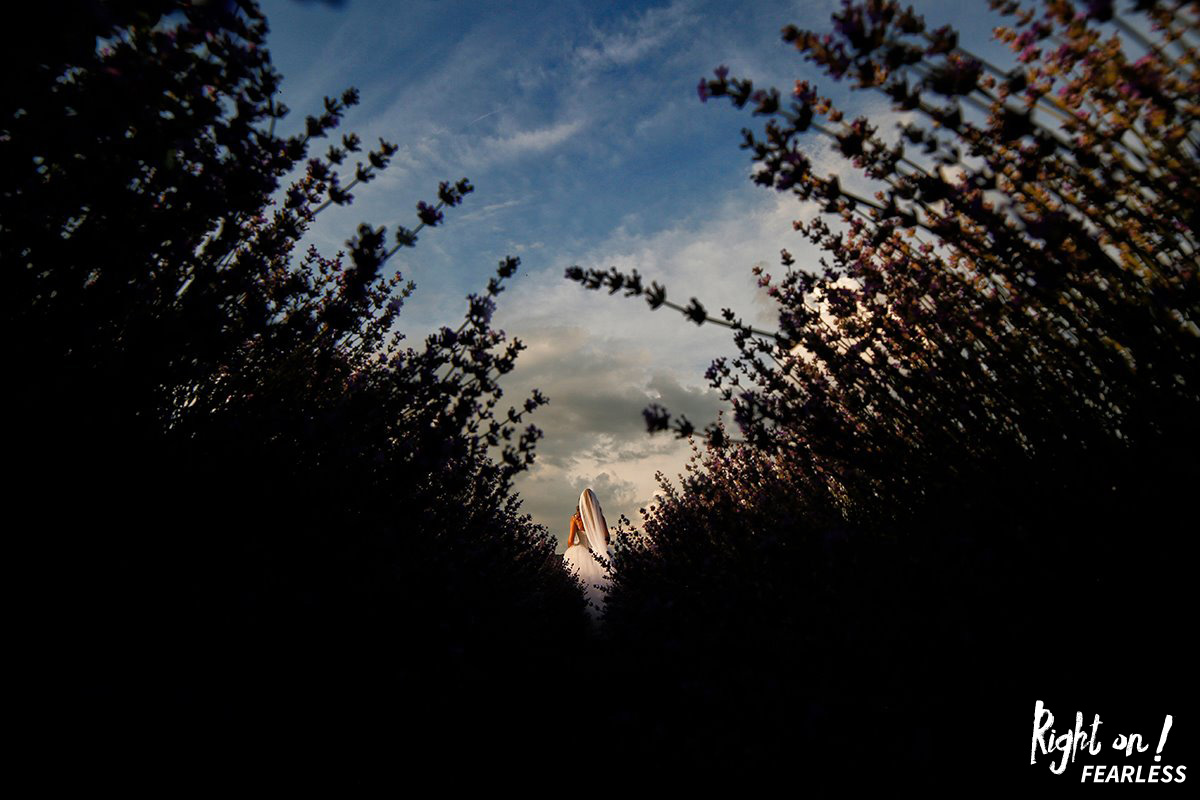 Marius Stoica gallery photo