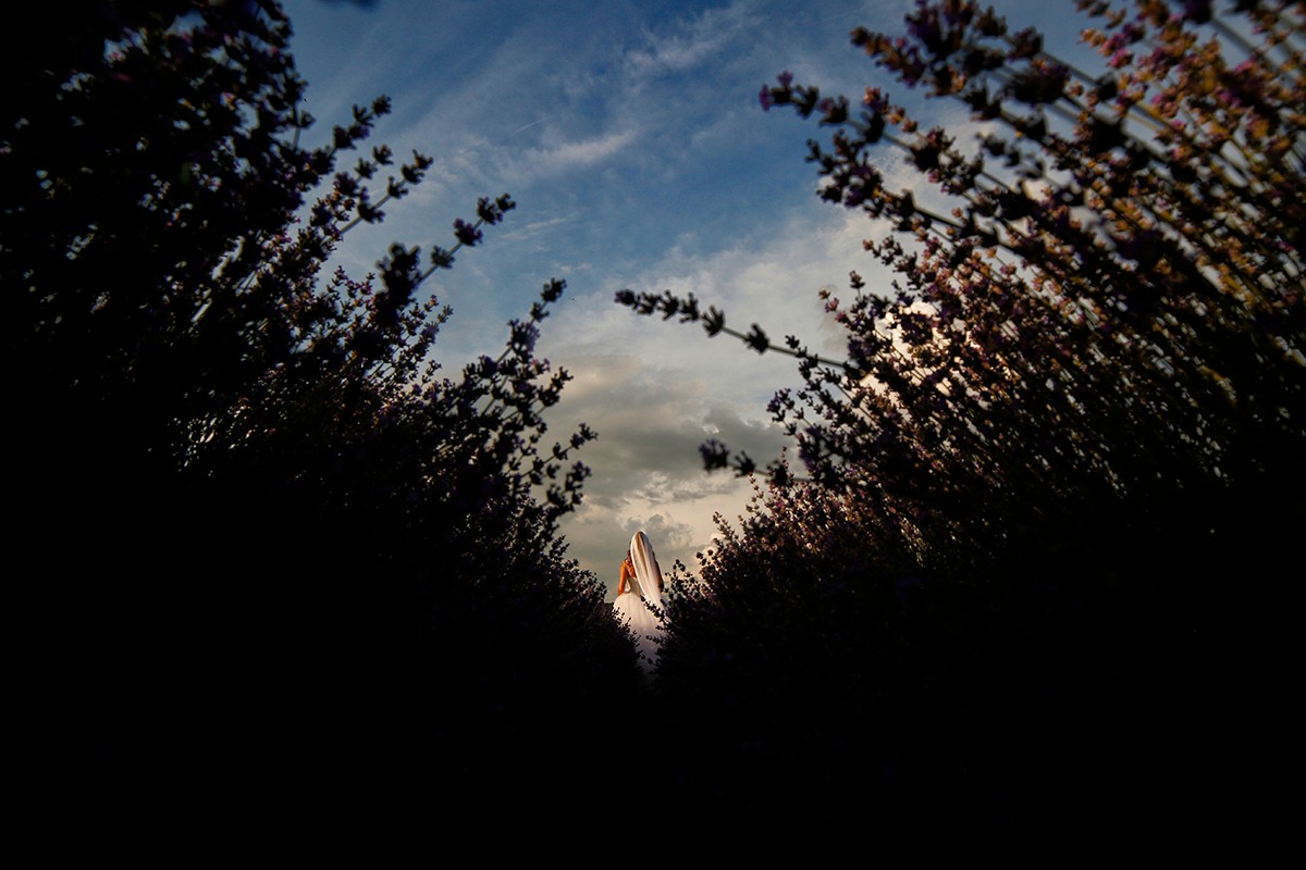 Marius Stoica portfolio photo