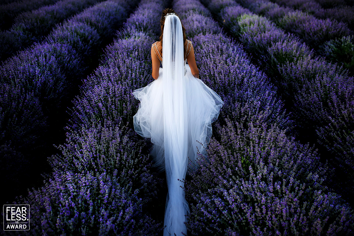 Marius Stoica gallery photo
