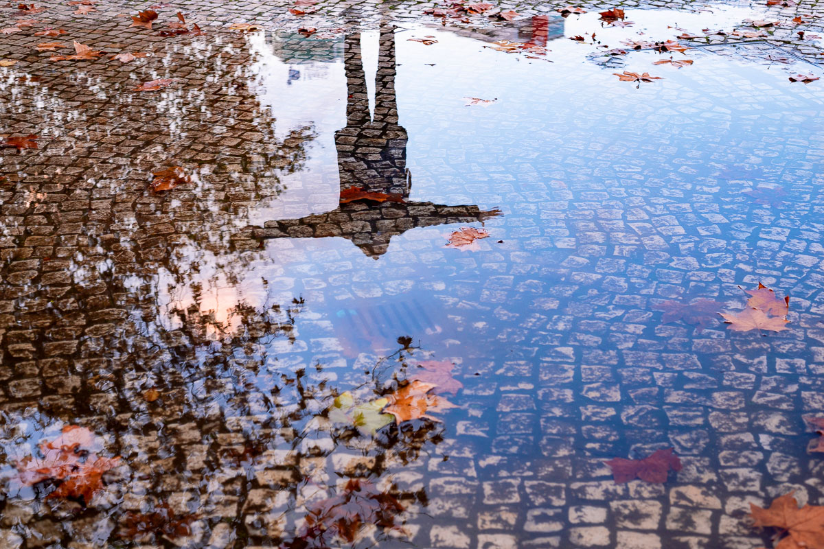 Fall Into Fall